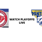 Watch Pine Grove girls play in the playoffs at the Big House LIVE