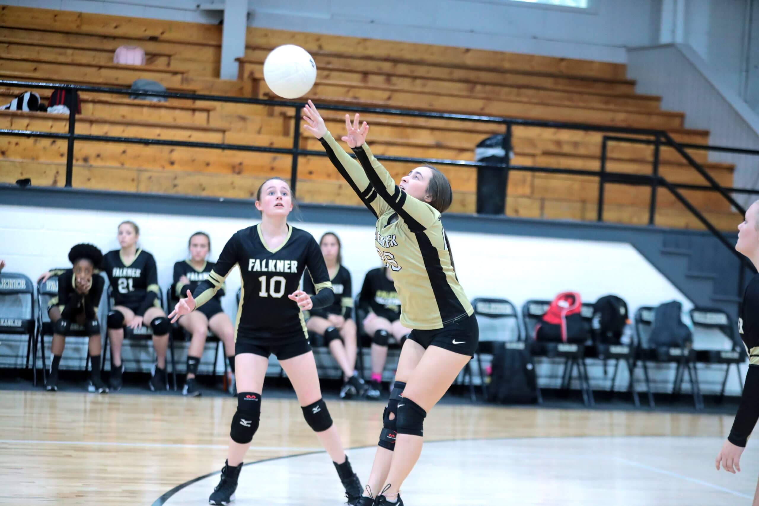 Volleyball midweek roundup: Pine Grove has a tough road test while Ripley, Falkner and Walnut look to get wins at home