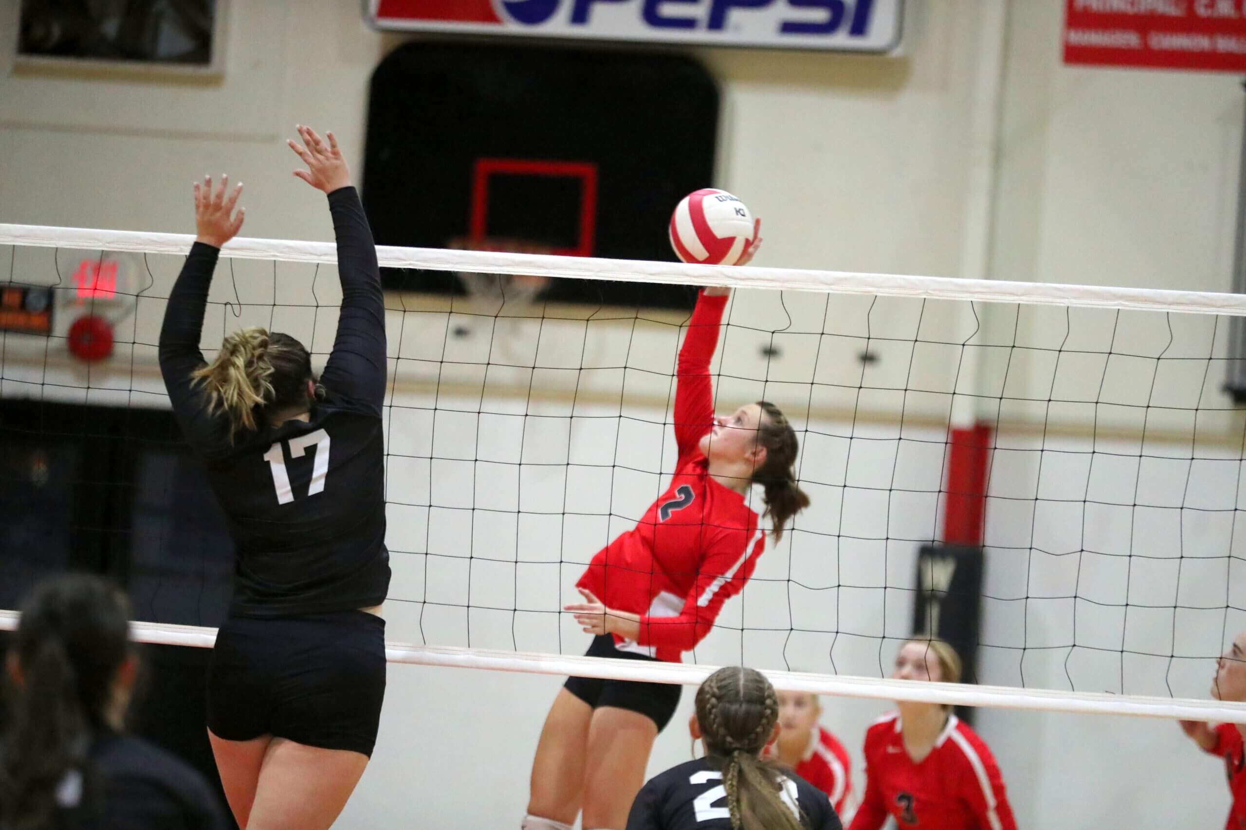 Tippah county sweeps through major awards in 1-2A volleyball