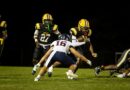 Ripley Tigers narrowly fall 28‑21 to Lewisburg in hard‑fought contest